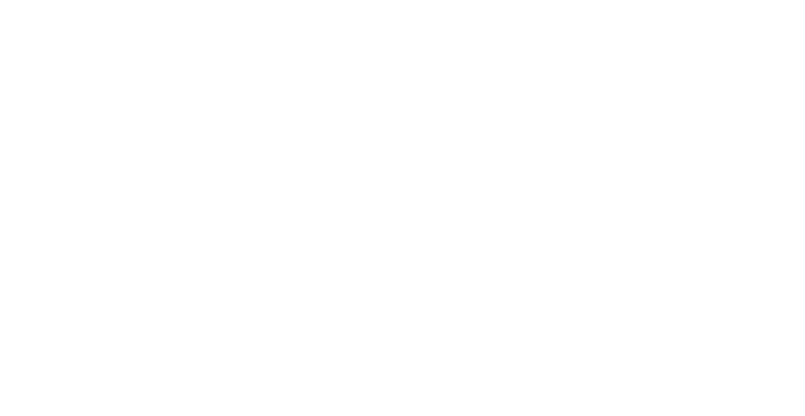 The Show Company